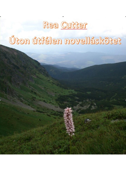 Úton útfélen (ekönyv)