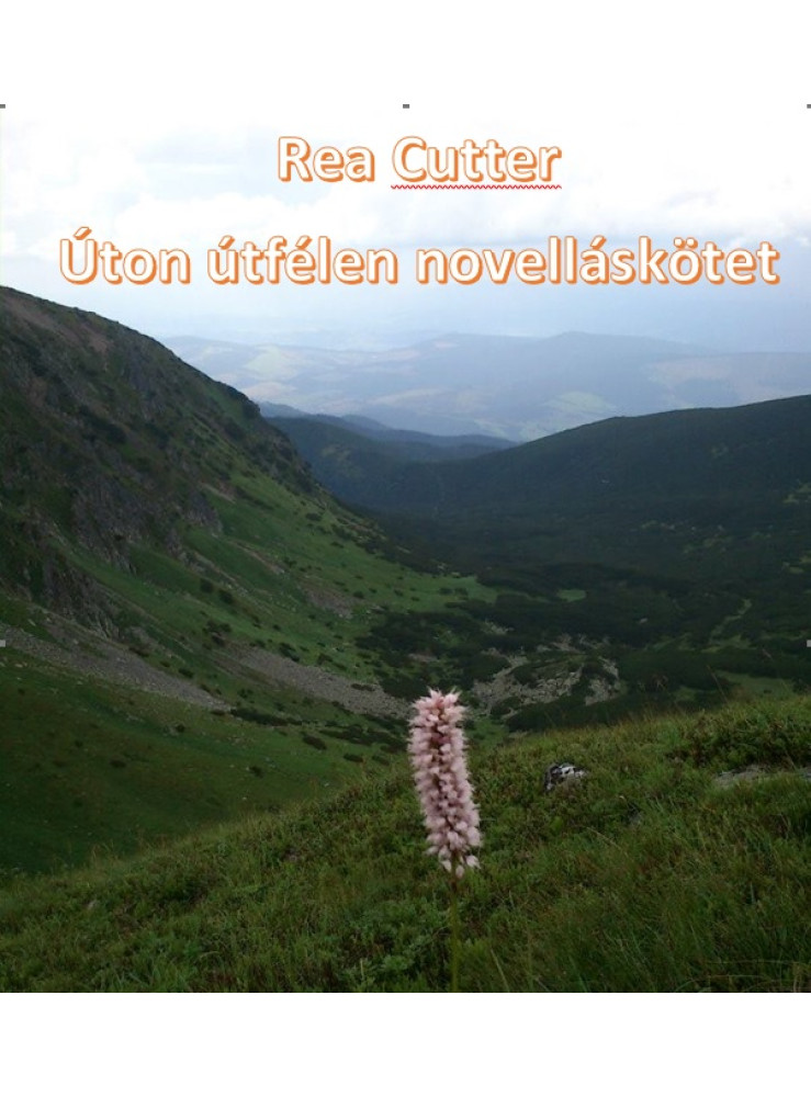 Úton útfélen (ekönyv)