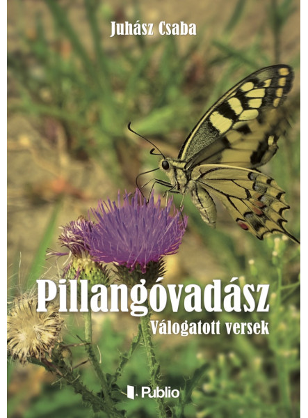 PILLANGÓVADÁSZ (ekönyv)