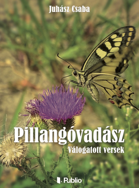 PILLANGÓVADÁSZ (ekönyv)