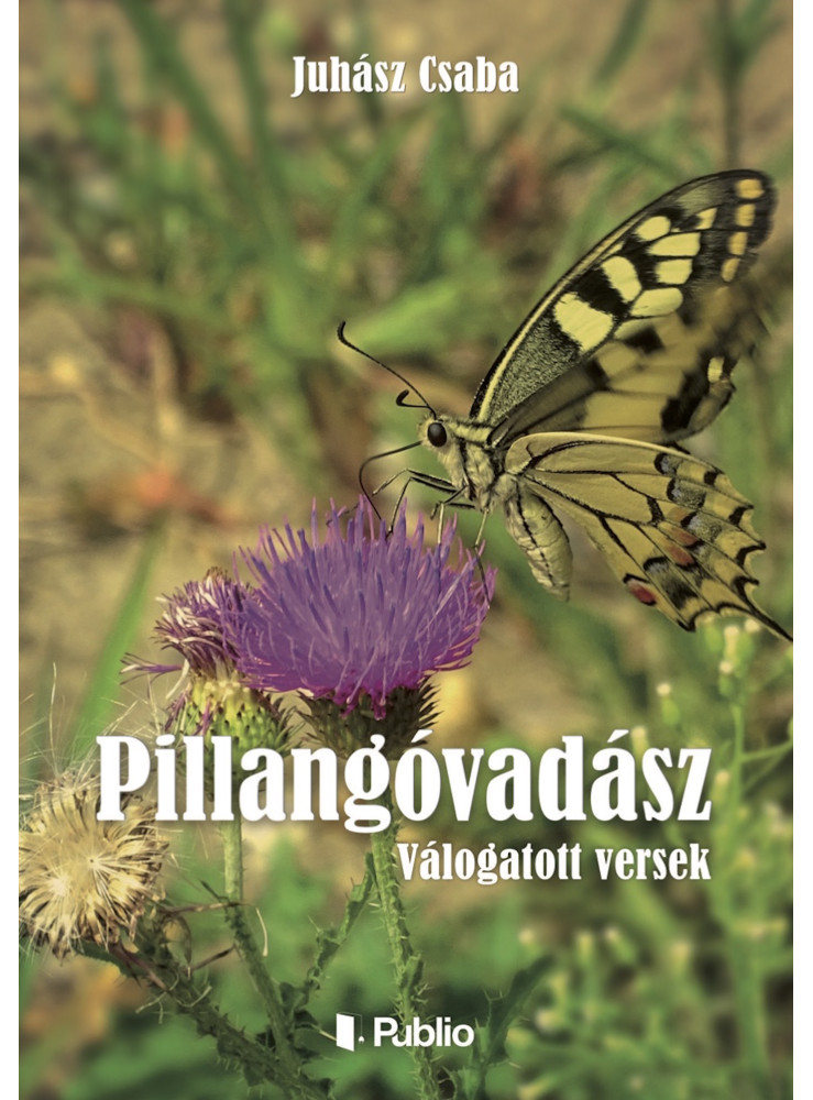 PILLANGÓVADÁSZ (ekönyv)