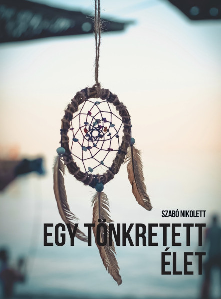 Egy tönkretett élet (ekönyv)