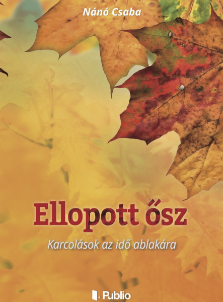 Ellopott ősz (ekönyv)