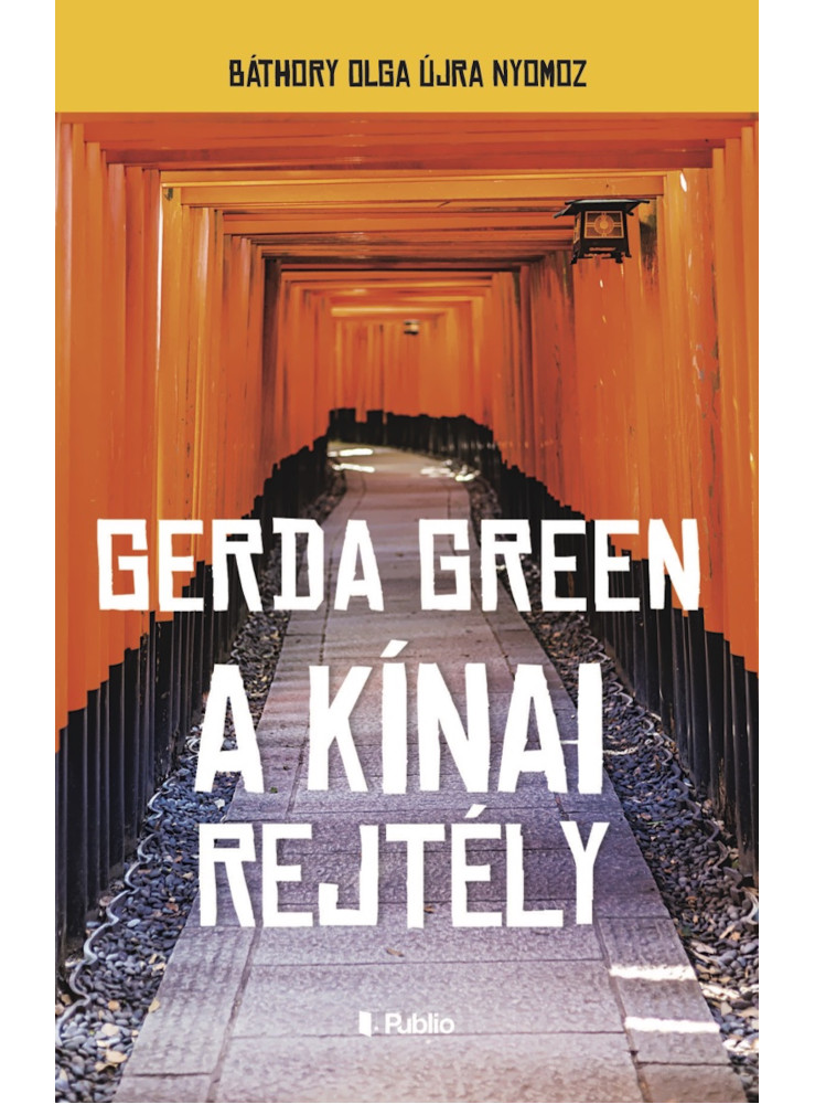 A kínai rejtély (ekönyv)