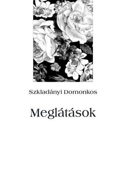 Meglátások (ekönyv)