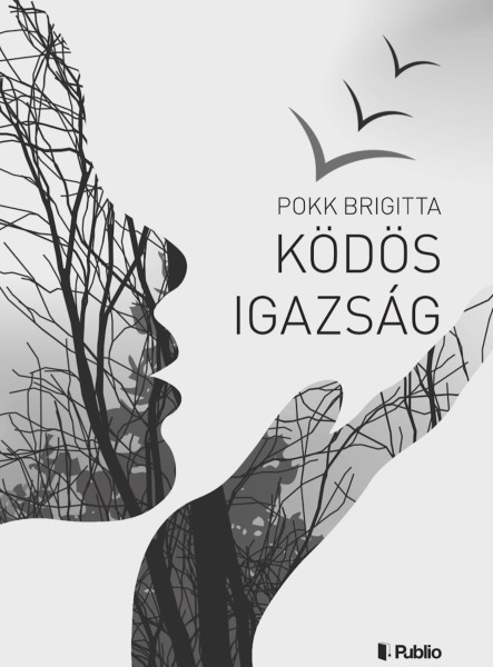 Ködös igazság