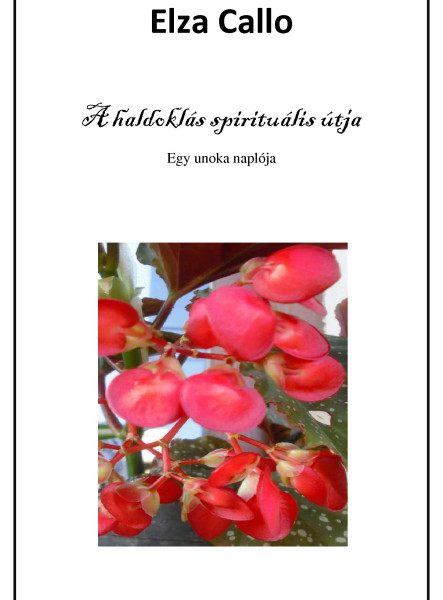 A haldoklás spirituális útja (ekönyv)