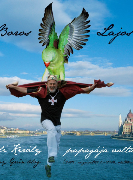 Lali király papagája voltam avagy Grün Blog (ekönyv)