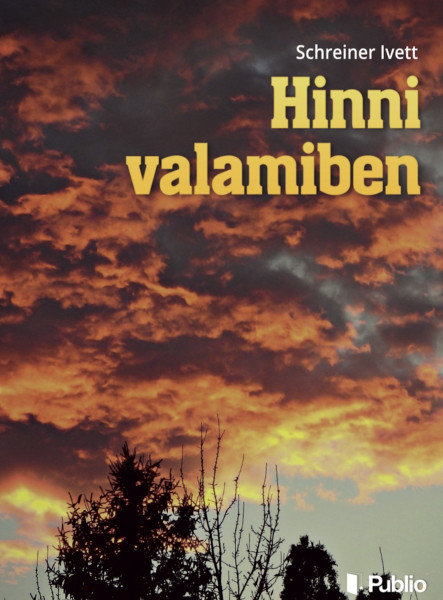 Hinni valamiben (ekönyv)