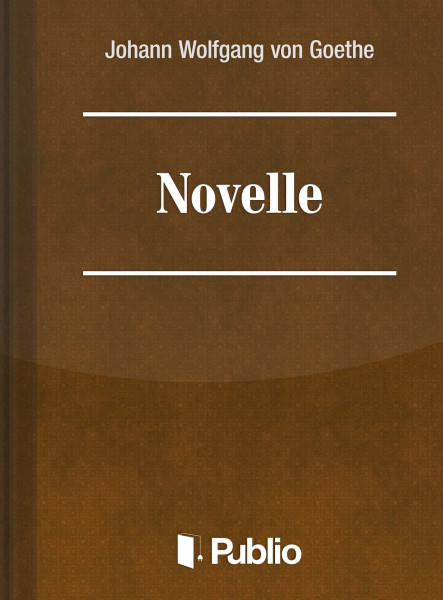 Novelle (ekönyv)