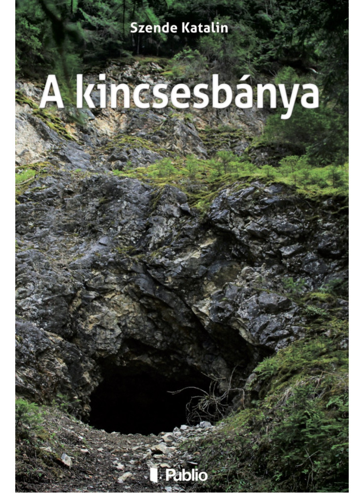 A kincsesbánya (ekönyv)