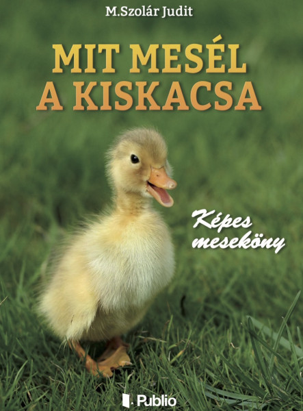 Mit mesél a kiskacsa (ekönyv)