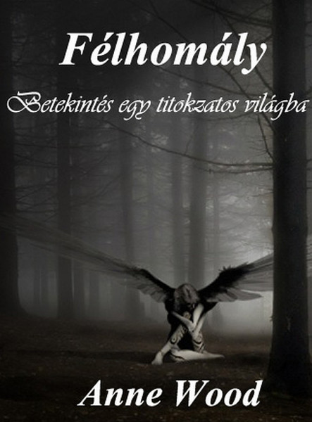 Félhomály (ekönyv)
