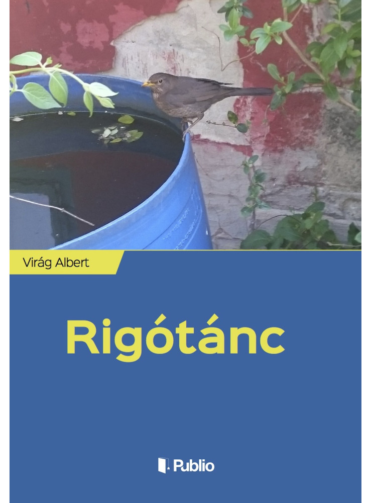 Rigótánc (ekönyv) Rigótánc (ekönyv)