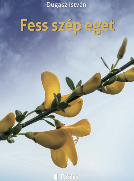 Fess szép eget (ekönyv)