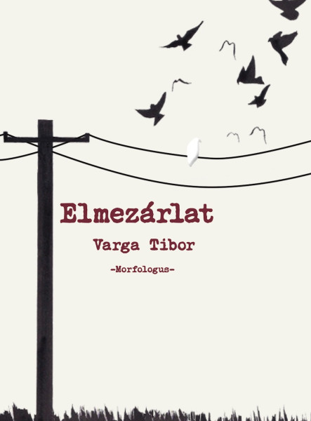 Elmezárlat (ekönyv)