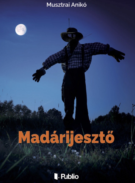 Madárijesztő (ekönyv)
