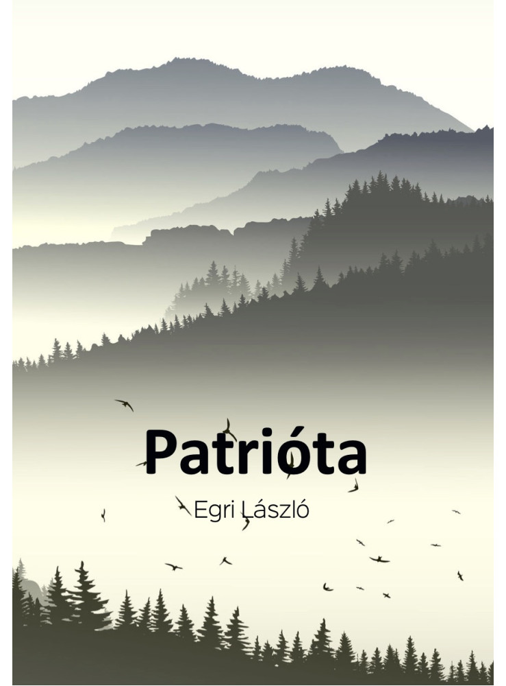 Patrióta (ekönyv)