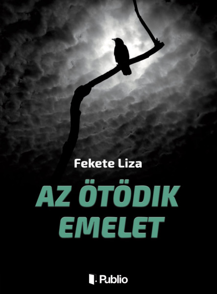 Az ötödik emelet (ekönyv)