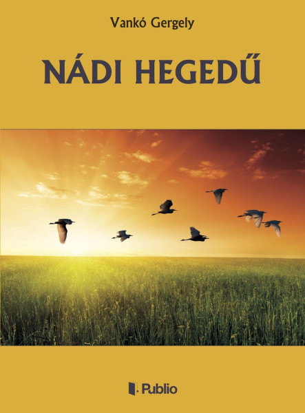 NÁDI HEGEDŰ (ekönyv)