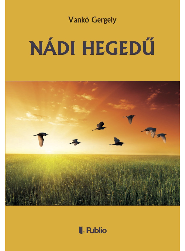 NÁDI HEGEDŰ (ekönyv)