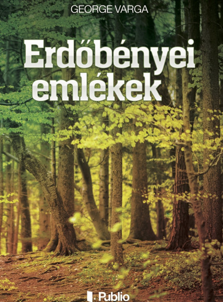 Erdőbényei emlékek (ekönyv)