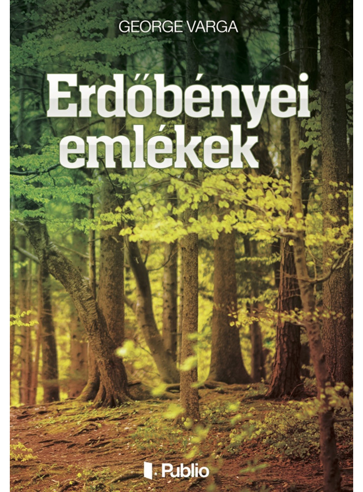 Erdőbényei emlékek (ekönyv)