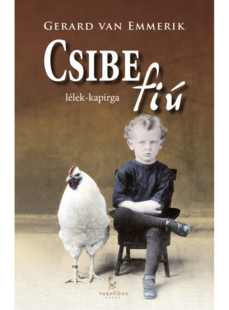 Csibefiú Csibefiú