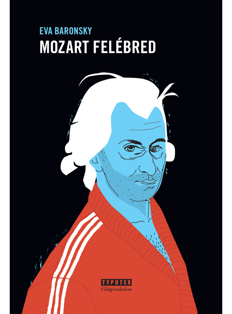 Mozart felébred (ekönyv)