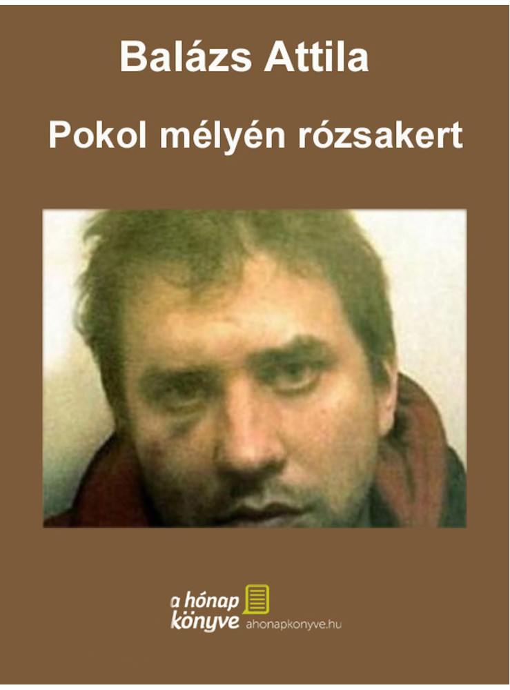 Pokol mélyén rózsakert (ekönyv)
