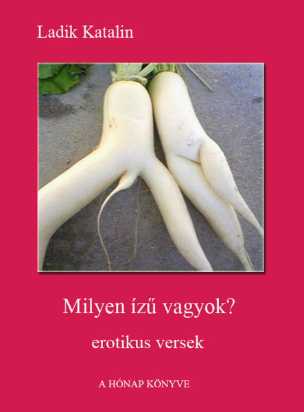 Milyen ízű vagyok? (ekönyv)