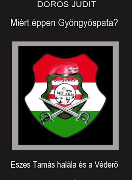 Miért éppen Gyöngyöspata? (ekönyv)