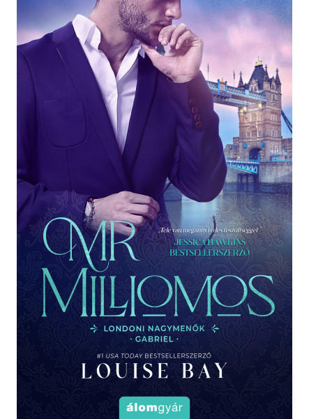 Mr. Milliomos (ekönyv)