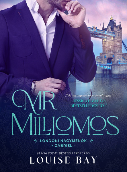 Mr. Milliomos (ekönyv)