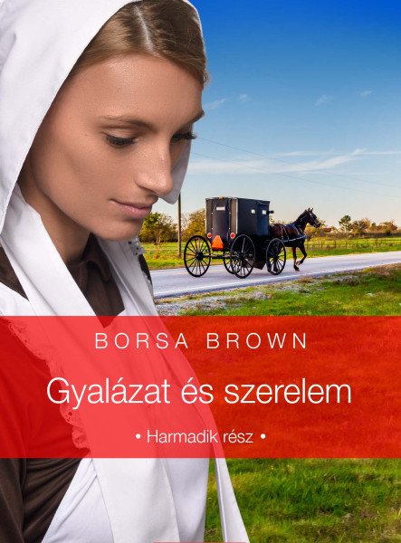 Gyalázat és szerelem (ekönyv)
