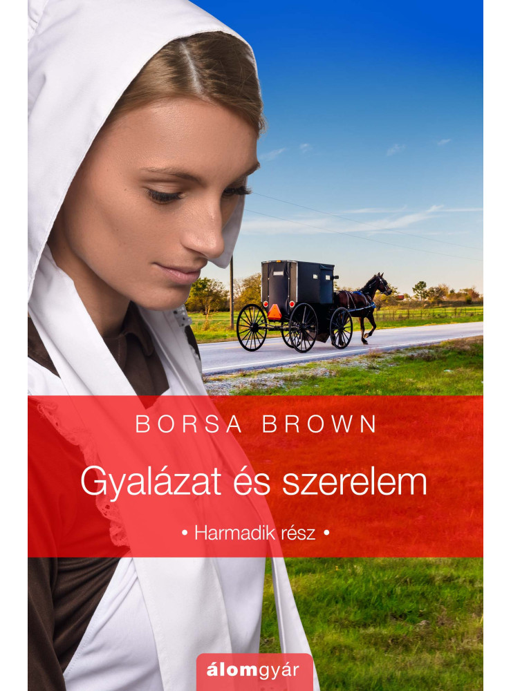 Gyalázat és szerelem (ekönyv)
