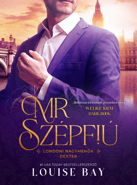 Mr. Szépfiú (ekönyv)