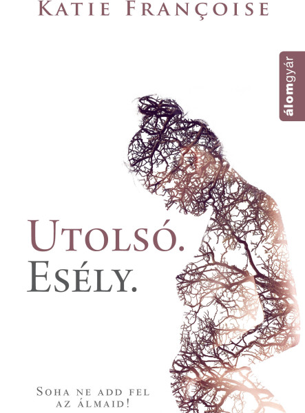 Utolsó esély (ekönyv)