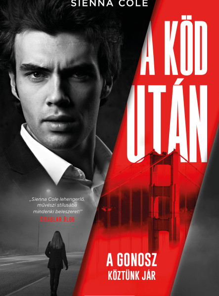 A köd után  (ekönyv)
