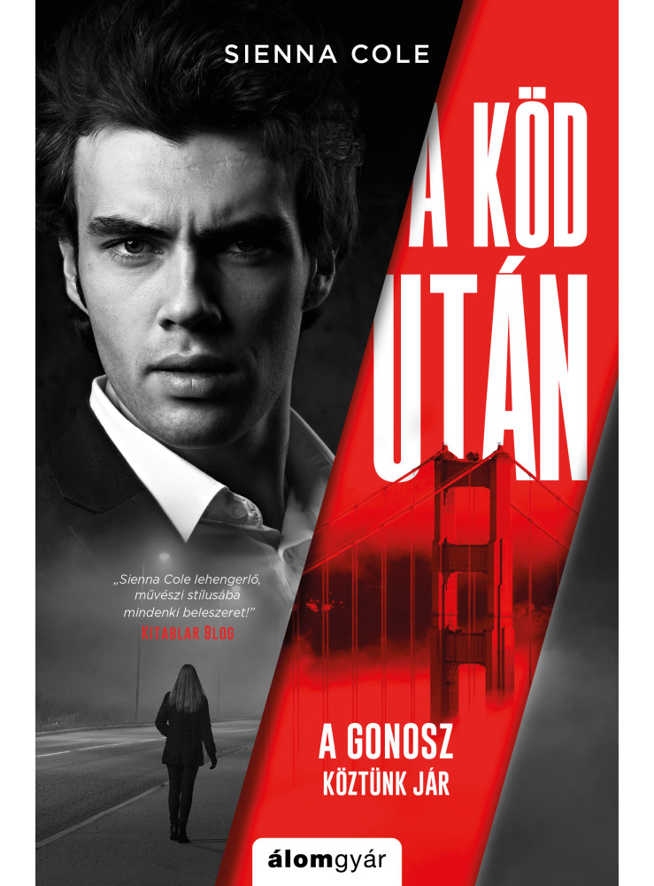 A köd után (ekönyv) A köd után (ekönyv)