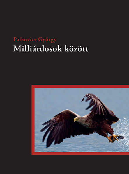 Milliárdosok között (ekönyv)