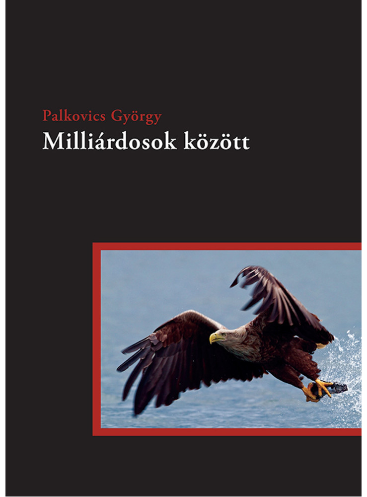 Milliárdosok között (ekönyv) Milliárdosok között (ekönyv)