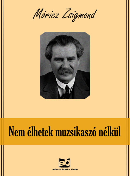Nem élhetek muzsikaszó nélkül (ekönyv)