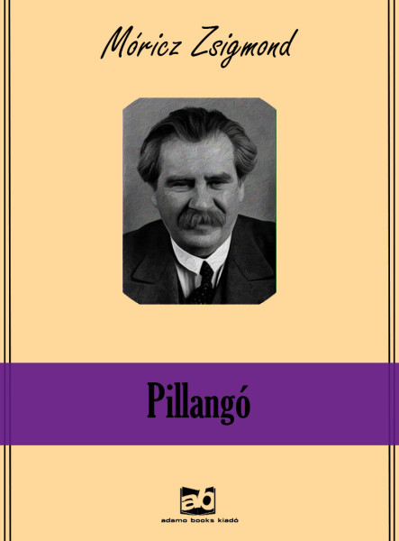 Pillangó (ekönyv)