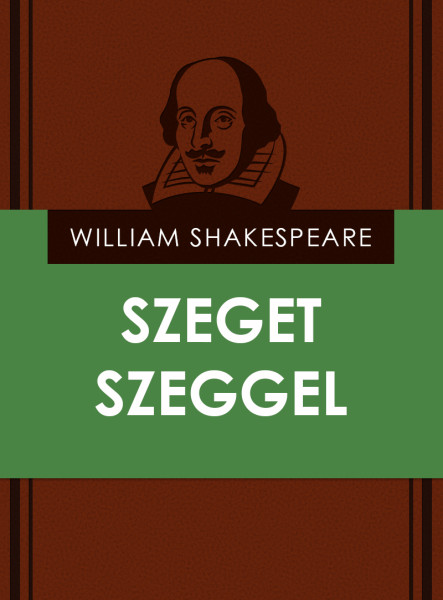 Szeget szeggel (ekönyv)