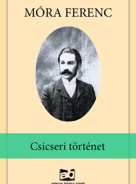 Csicseri ​történet (ekönyv)