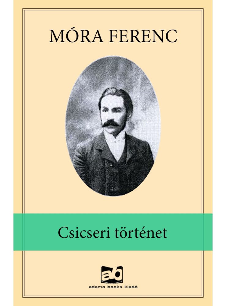 Csicseri ​történet (ekönyv)