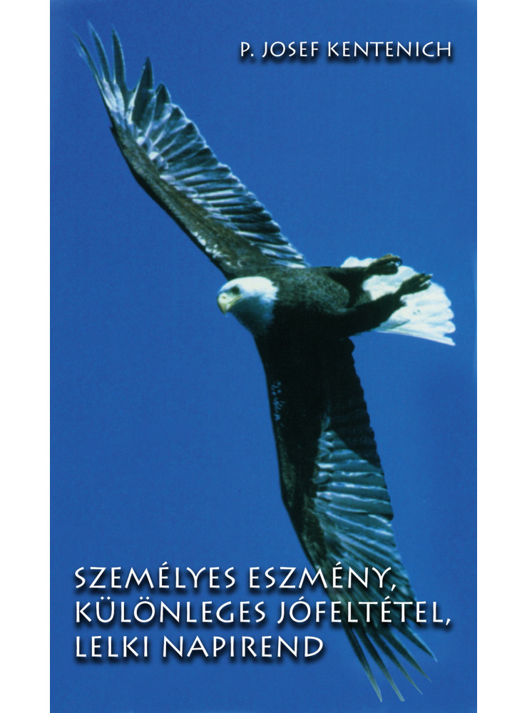 Személyes eszmény, különleges jófeltétel, lelki napirend (ekönyv) Személyes eszmény, különleges jófeltétel, lelki napirend (ekönyv)