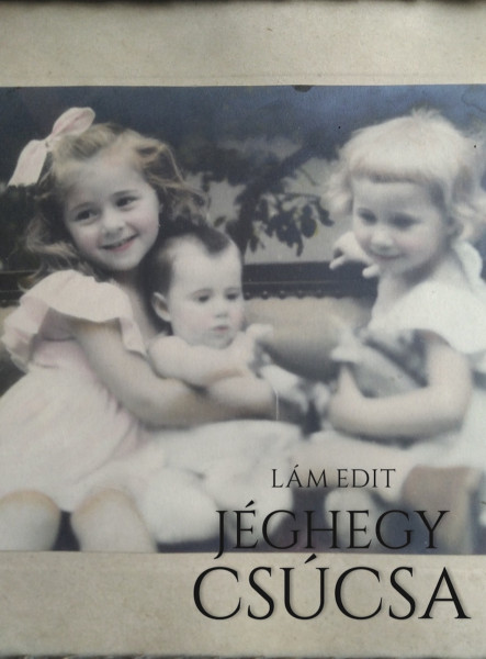 A jéghegy csúcsa (ekönyv)