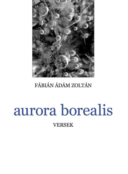 aurora borealis